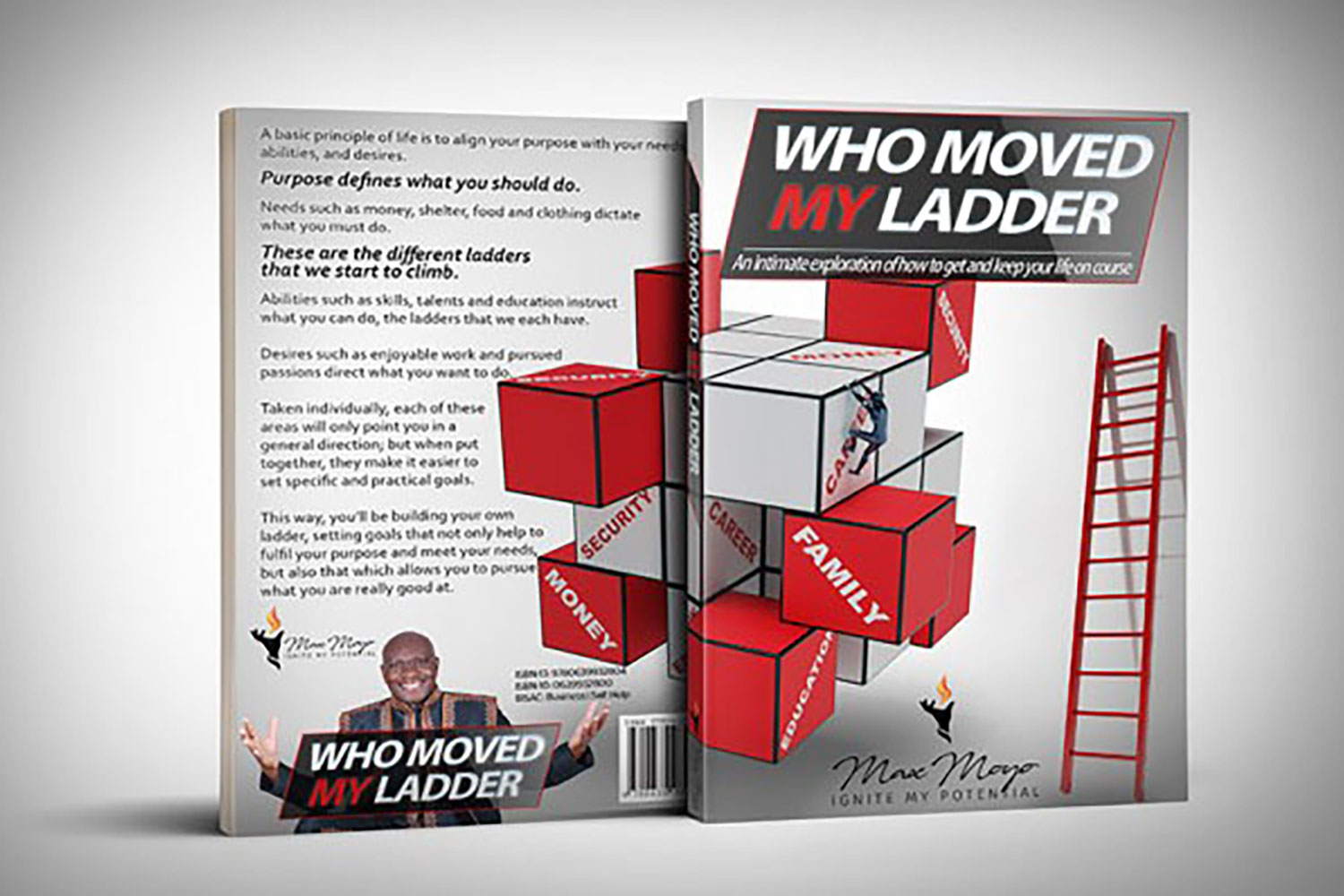 Who Moved My Ladder